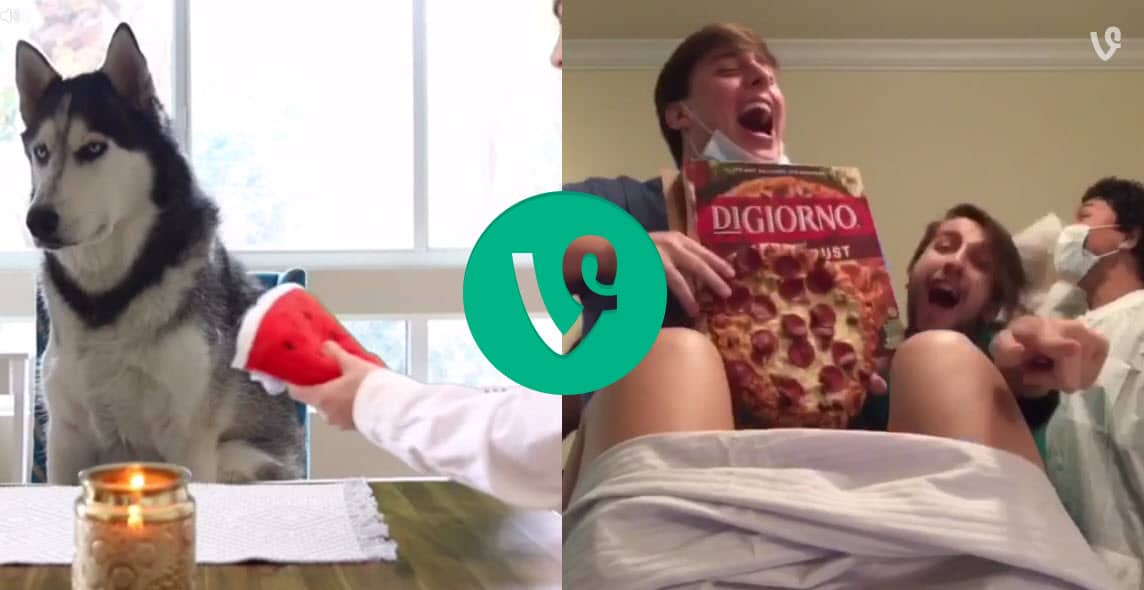 Indifferent Huskies And Chicken Nugget Munchies: 6 Branded Vines You Should Watch Right Now