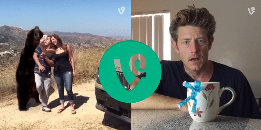 Vain Bears And Coffee Stares: 6 Branded Vines You Should Watch Right Now