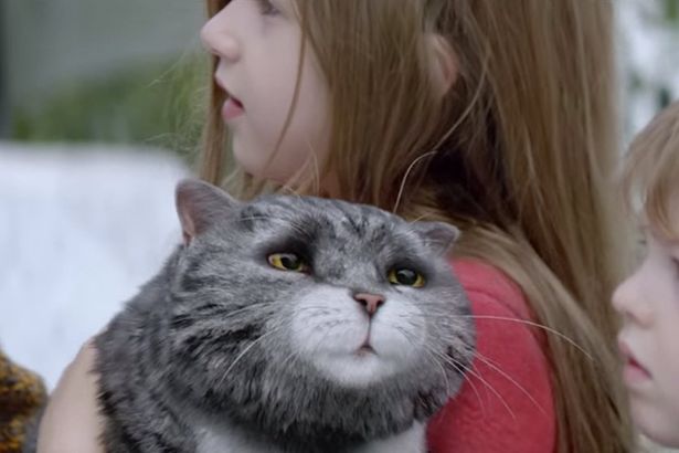 Viral Review: Sainsbury’s Charming Xmas Ad Will Leave You Feline Warm And Fuzzy