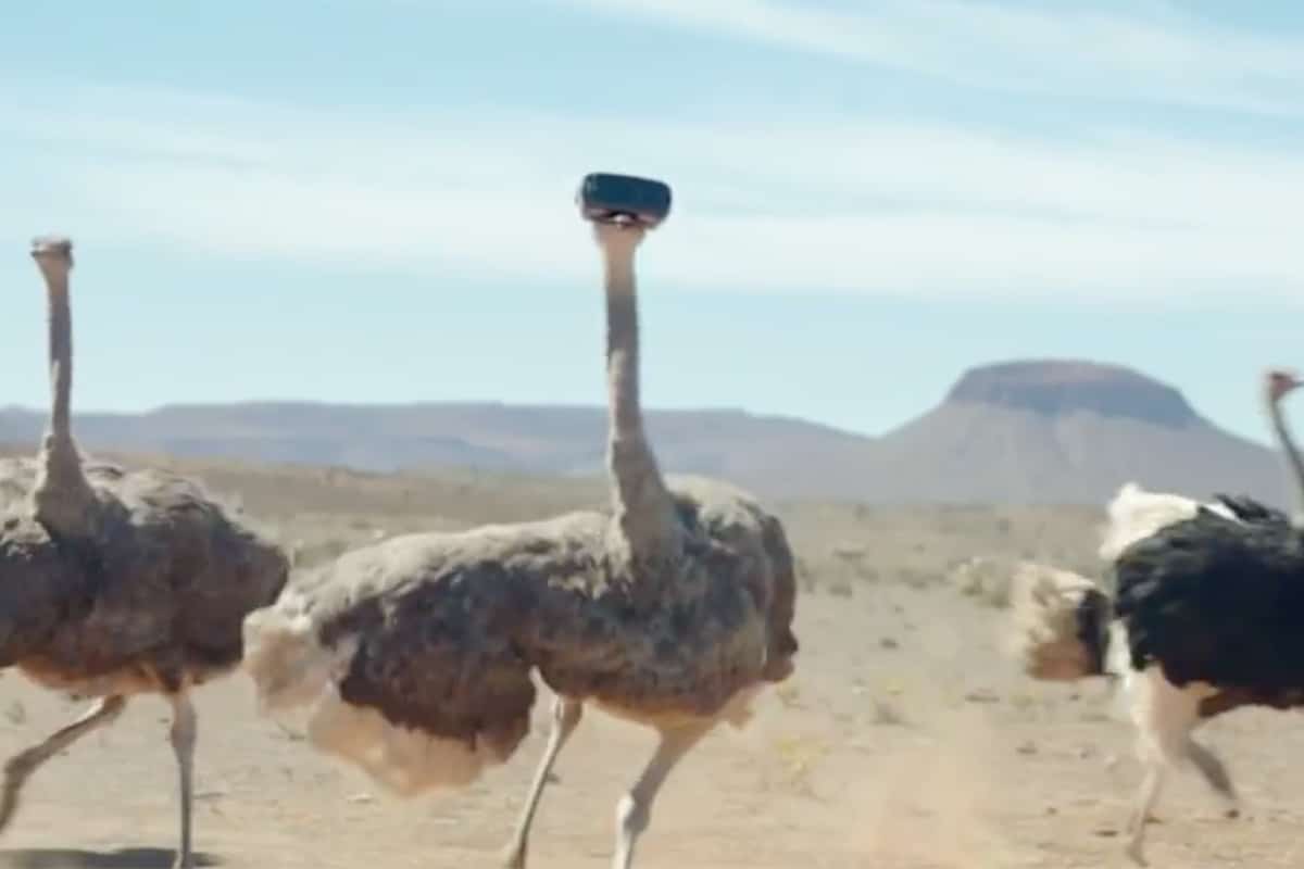 Viral Review: Samsung Straps A Smartphone To A CGI Bird And Films One Of 2017’s Best Tech Ads