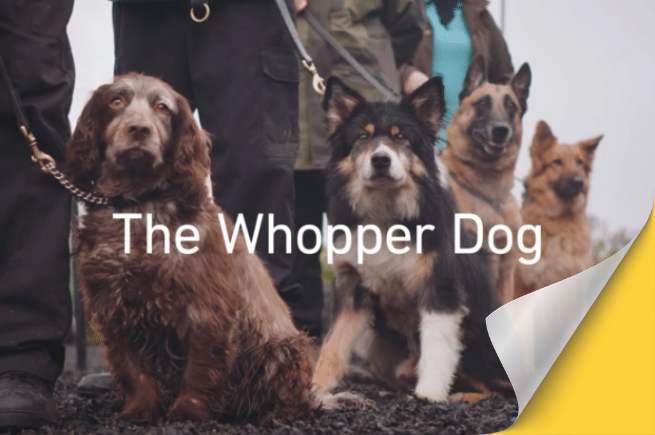 Case Study: Delivering the Whopper Dog